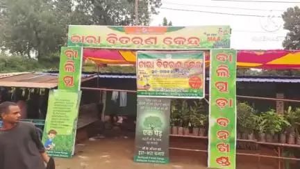ଫୁଲବାଣୀ ସହର: ବାଲିଗୁଡା କଲେଜ ଛକ ଠାରେ ଚଳିତ ବର୍ଷ ୭୬ ତମ ବନ ମହୋତ୍ସବ ସପ୍ତାହ ପାଳନ
