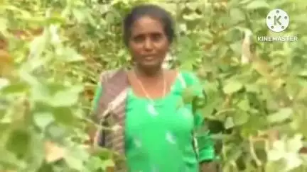 ಚಿಕ್ಕಬಳ್ಳಾಪುರ: 141 ಕೋಟಿ ಹೂವಿನ ಹೈಟೆಕ್ ಡ್ರೀಮ್ ಮಾರುಕಟ್ಟೆಗೆ ಹಸಿರು ನಿಷಣೆ ನಗರದಲ್ಲಿ ರೈತರಿಂದ ಹರ್ಷ