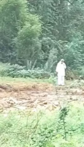 ग्राम छारदडा में चारागाह भूमि से हरे पेड़ों की अवैध कटाई का मामला, तहसीलदार को ज्ञापन देकर कार्रवाई की मांग