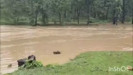 पेण्ड्रा: गौरेला-पेंड्रा-मरवाही में बारिश का कहर: कार नाले में बही, मार्ग घंटों तक रहे बाधित, जनजीवन अस्त-व्यस्त