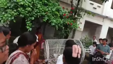 পান্ডুয়া: আন্তর্জাতিক প্লাস্টিক ব্যাগমুক্ত দিবস পালিত হলো পান্ডুয়া শশীভূষণ সাহা উচ্চ বিদ্যালয় সংলগ্ন এলাকায়