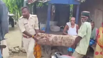 हनुमाननगर: सिधौली पंचायत में अवैध आरा मिल बंद कराने गई वन विभाग और पुलिस की टीम को आरा मिल मालिकों ने घेरा