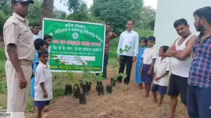 ଅନୁଗୋଳ: ମାଗୁରାଖାଲ ଗ୍ରାମରେ ବୃକ୍ଷ ରୋପଣ କାର୍ଯ୍ୟକ୍ରମ ଅନୁଷ୍ଠିତ
