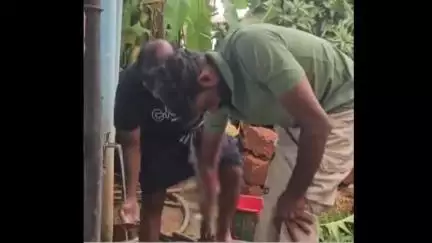 വടകര: നാദാപുരത്ത് തെരുവ് നായുടെ ആക്രമണം, വിദ്യാർത്ഥി ഉൾപ്പെടെ ആറുപേർക്ക് കടിയേറ്റു