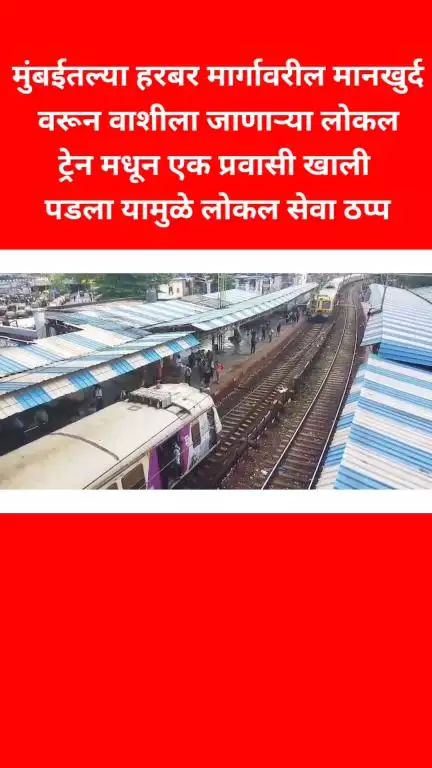 मुंबईतल्या हरबर मार्गावरील मानखुर्द वरून वाशीला 
जाणाऱ्या लोकल ट्रेन मधून एक प्रवासी खाली पडला यामुळे लोकल सेवा ठप्प