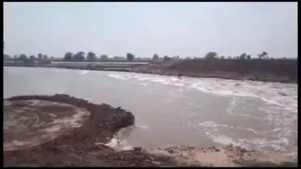 हनुमानगढ़: जिला मुख्यालय पर अतिक्रमण से संकरा हुआ घग्घर बहाव क्षेत्र, अधिक मात्रा में पानी की आवक से बंधे टूटने का खतरा