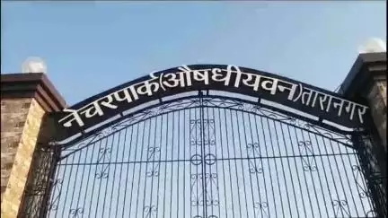 तारानगर: पंडित दीनदयाल उपाध्याय अंत्योदय संबल पखवाड़ा के अंतर्गत हडिय़ाल, ढिंगी, झाड़सर छोटा ग्राम पंचायतों में आयोजित होंगे शिविर