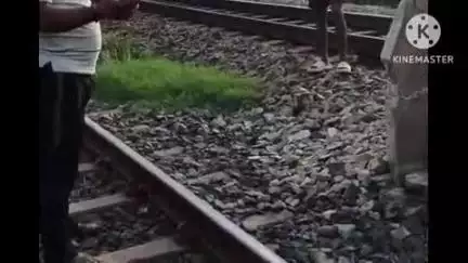 बक्सर: बक्सर चौसा रेलवे स्टेशन के बीच ट्रेन से कटकर युवक की मौत, क्षेत्राधिकार विवाद में 3 घंटे तक ट्रैक पर पड़ा रहा शव
