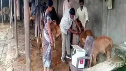రాజేంద్రనగర్: పశువులకు వచ్చే సీజనల్ వ్యాధులపై రైతులు అప్రమత్తంగా ఉండాలి : షాబాద్ మండలంలో డాక్టర్ స్రవంతి
