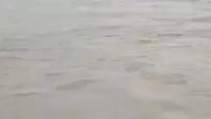 आलापुर: सरयू का जलस्तर बढ़ने से माझा कम्हरिया में कटान की समस्या बढ़ी, किसानों की फसल बर्बादी के मुहाने पर
