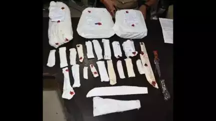 जबलपुर: अवैध हथियारों के कारोबार में शामिल 8 आरोपी गिरफ्तार, 35 चाइनीज चाकू जब्त