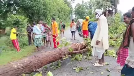ମହୁଲପାଲି: ରଙ୍ଗବତି ବିଲୁଙ୍ଗ ମୁଖ୍ୟ ରାସ୍ତା ରେ ଗଛ ପଡ଼ି ରାସ୍ତା ଅବରୋଧ