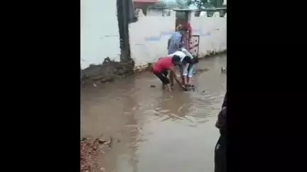 नीमच नगर: अलोरी गरवाड़ा में खतरनाक गड्ढे में गिरी स्कूटी, युवती बाल-बाल बची, ग्रामीणों में आक्रोश