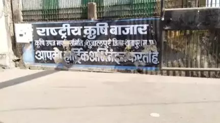 शुजालपुर: शुजालपुर मंडी में सोयाबीन ₹4317 और गेहूं ₹2680 प्रति क्विंटल तक बिका