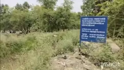 सलोन: सूची कस्बे में नहरों की साफ-सफाई न होने से किसानों को हो रही दिक्कतें, जिम्मेदार कर रहे अनदेखी