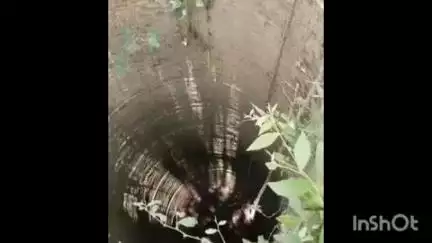 सलोन: बैरमपुर गांव में गहरे कुएं में गिरे मवेशी को ग्रामीणों और पुलिसकर्मियों ने बचाया, वीडियो सोशल मीडिया पर वायरल