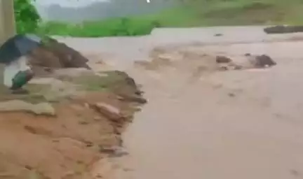 डिंडौरी: गोपालपुर में भारी बारिश से सिवनी नदी में उफान, डायवर्सन डूबा, आवागमन बाधित, वीडियो वायरल