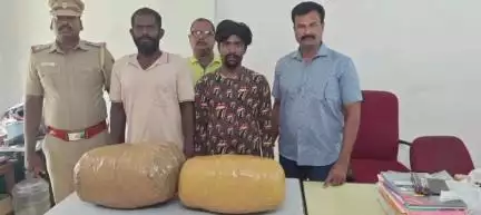 பொன்னேரி: செங்குன்றம் மொண்டியம்மாள் நகரில் வாகன சோதனையில் 22கிலோ கஞ்சா பறிமுதல்  இருவர் கைது