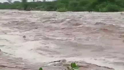ધાનેરા: ધાનેરામાં ભારે વરસાદથી રેલ નદી બે કાંઠે: ડુવા ગામમાં પાણી પ્રવેશ્યા, નીચાણવાળા વિસ્તારોમાં જળબંબાકાર.