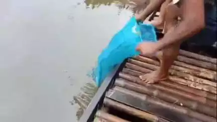 স্বরূপনগর: তারালি গ্রামের পর এবার আমুদিয়া বাজার সংলগ্ন সোনাই নদীতে পাওয়া গেলোকুমিরের বাচ্চা ,আতঙ্কিত পরিবেশ এলাকায়