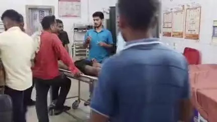 सकलडीहा: सिकठा में धान की रोपाई के लिए पानी भरते समय एक किसान को सांप ने काटा, हालत गंभीर