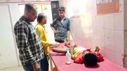 तालबेहट: सुनौरी गांव में पेड़ से गिरने से नाबालिग किशोर गंभीर रूप से घायल, परिजनों ने अस्पताल में कराया भर्ती