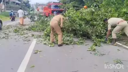 അടൂര്‍: എംസി റോഡിൽ അടൂർമിത്രപുരം ജംഗ്ഷന് സമീപം മരത്തിന്റെ ശിഖിരം ഒടിഞ്ഞു റോഡിലേക്ക് വീണ് ബൈക്ക് യാത്രക്കാരന് സാരമായിപരിക്കേറ്റു