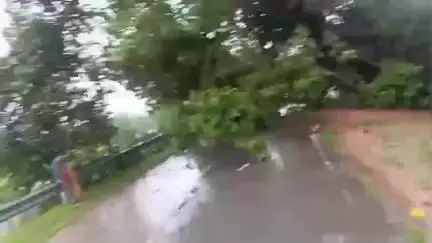 शिवपुरी: अमोलपठा सड़क मार्ग पर तेज हवाओं से उखड़ा पेड़, 2 घंटे तक जाम में फंसे रहे वाहन