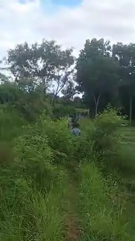 School बंद होने के कारण बच्चा लोग