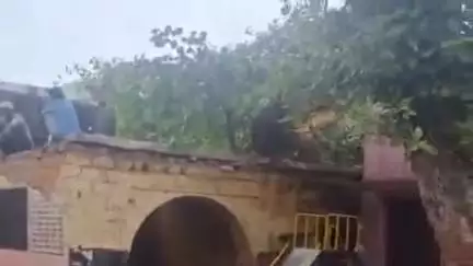 लाडपुरा: छावनी सरकारी स्कूल में लगे पीपल के पेड़ का एक हिस्सा टूटकर मकान पर गिरा, बड़ा हादसा टला, घटना के समय स्कूल चल रहा था