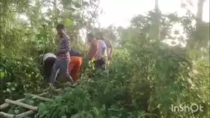 कायमगंज: गांव बिल्हा में निकला जहरीला सांप, वन विभाग और गौरक्षा दल ने रेस्क्यू कर सांप को पकड़ा