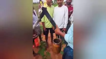 మంత్రాలయం: నౌలేకల్లో పీర్ల పండుగలో భాగంగా ఏడు ఊర్లు పొలిమేర తిరిగిన షబ్బీర్ తాత