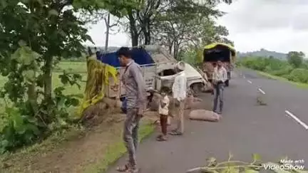 बेगमगंज: भैंस को बचाने में हादसा, तेज रफ्तार बोलेरो पलटी, चालक बाल-बाल बचा