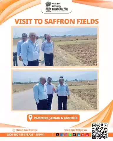 Dr. Devesh Chaturvedi, Secretary, DA&FW, GoI visits #saffron fields in Pampore, J&K today #AgriGoI #SaffronFarming