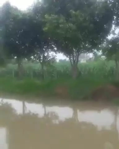 जगाधरी: राक्षी नदी में तूफान से खेतों में पानी भरने की चिंता, शिकायत के बाद भी किसानों को नहीं मिल रहा समाधान