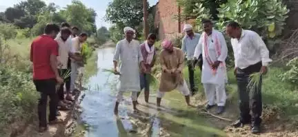 सिकंदरपुर: सिकंदरपुर से मालीपुर तक जाने वाली नहर मार्ग पर गड्ढों में भरे बरसाती पानी में कांग्रेसियों ने रोप धान #jansamasya