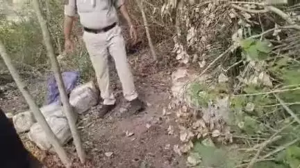 नरसिंहपुर: नरसिंहपुर पुलिस की बड़ी कार्रवाई, 140 लीटर देशी शराब और 800 किलो महुआ लहान जब्त