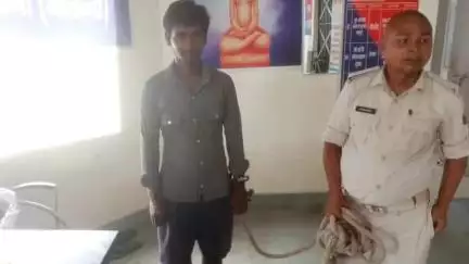 हरनौत: तेलमर थाना पुलिस ने मारपीट के मामले में एक अभियुक्त को पाकड़ गांव से गिरफ्तार कर जेल भेजा