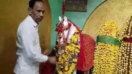 बुरहानपुर: बुरहानपुर में मोहर्रम पर हजरत इमाम हुसैन की याद में बैठाया गया 'दुलदुल घोड़ा', देखने के लिए देशभर से पहुंच रहे लोग