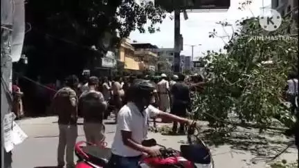 রায়গঞ্জ: যাত্রী বোঝাই অটোর মাথায় ভেঙে পড়লো সুবিশাল অশ্বত্থ গাছের ডাল, যানবাহন চলাচল বন্ধ হয়ে চাঞ্চল্য রায়গঞ্জে, ঘটনাস্থলে দমকল