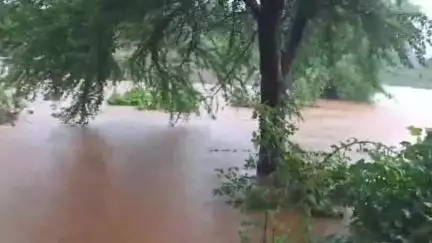 नारायणगंज: नारायण गंज में मूसलाधार बारिश के चलते उफान पर आया बम्हनी नाला, कई गांवों से टूटा संपर्क व घरों में घुसा पानी
