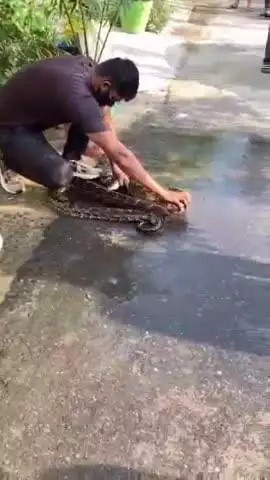 बुलंदशहर: गंगा नगर कॉलोनी में 10 फीट लंबा अजगर निकलने से मचा हड़कंप, वन विभाग की टीम ने किया रेस्क्यू