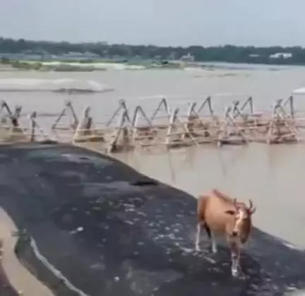 उन्नाव: शुक्लागंज में गंगा नदी का जलस्तर बढ़ा, मार्जिनल बांध तक पहुंचा पानी