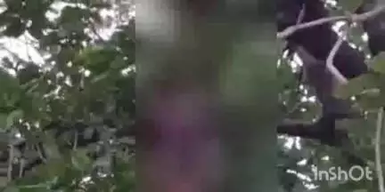 डही: ढोल्या में 36 वर्षीय महिला ने महुआ के पेड़ पर फांसी लगाकर की आत्महत्या, घटनास्थल के लिए रवाना हुए थाना प्रभारी