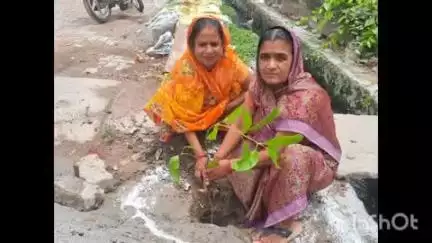 उतरौला: महिलाओं ने वन महोत्सव में सक्रिय रूप से भाग लिया