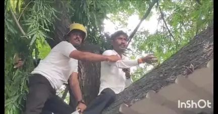 लातूर: मनपा कर्मचाऱ्यांना ड्रेस कोड सक्ती करिता कृती समितीचे बनसोडे यांनी केले मनपाच्या आवरतील झाडावर चडून आंदोलन #jansamsya