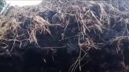 काको: रेपुरा गांव में नेवारी के पुंज में आग लगने से हजारों का नुकसान, आगे की कार्रवाई जारी