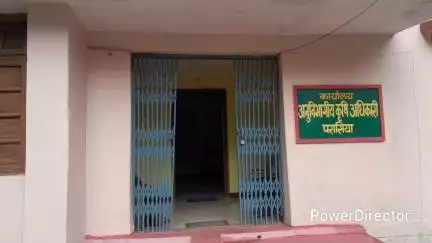 उमरेठ: धीमी बारिश से फसल में कीटों के प्रकोप की आशंका, कृषि विभाग ने कीटनाशकों के प्रयोग की दी सलाह