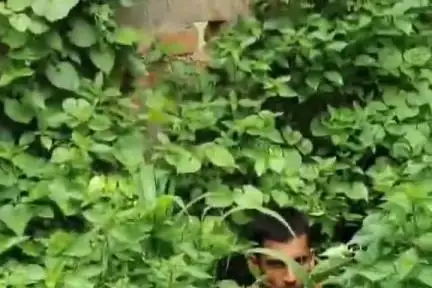 सूरजगढ़: सूरजगढ़ा पुरानी बाजार में पुलिस ने झाड़ी में छिपे एक चोर को हिरासत में लिया, चोरी का सामान बरामद
