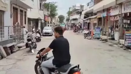 मारवाड़ जंक्शन: मारवाड़ जंक्शन उपखंड मुख्यालय में आवारा मवेशियों का आतंक, नगरवासियों और वाहन चालकों में आक्रोश, हो रहे हादसे